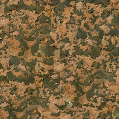 serasancolor2