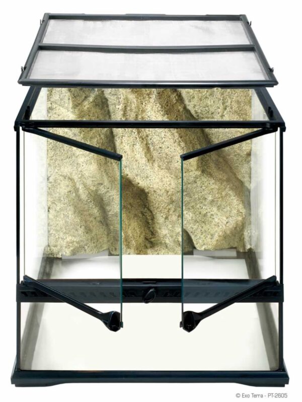 Terrarium Small 45