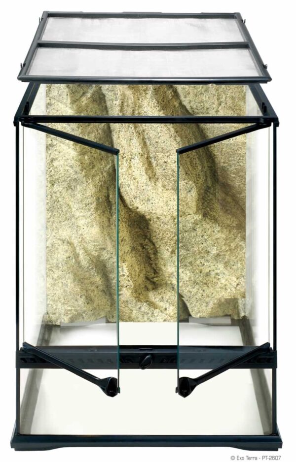 Terrarium Small 60