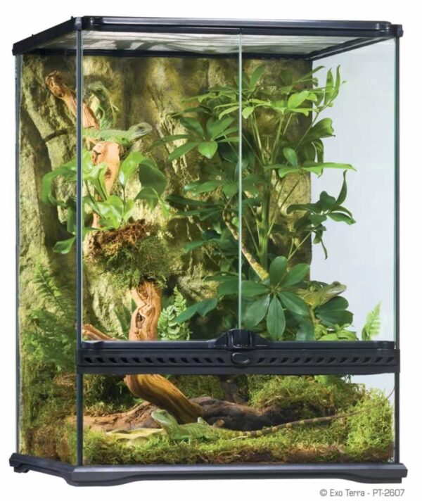 Terrarium Small 60