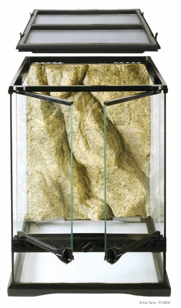Terrarium Natural Mini