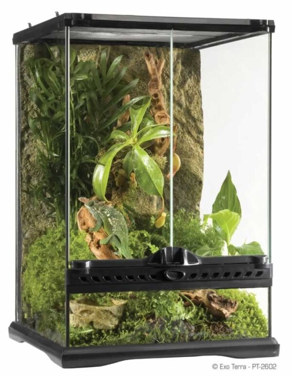 Terrarium Natural Mini