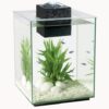 Fluval Chi 19 litros