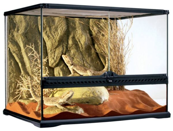 Exoterra Terrario Medium Wide