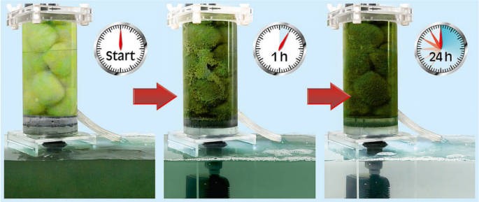Sera Crystal Clear para 6000 litros Sera Crystal Clear para 6000 litros