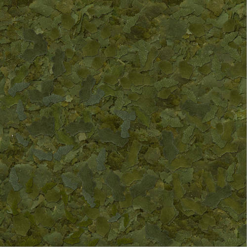 seraflora2