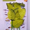 Marina planta seda 14cm aprox (PREMIUM)