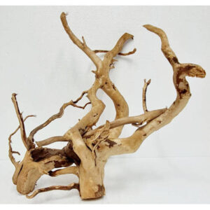 Raiz spider wood talla XL cod1 Premium