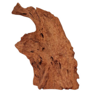 Tronco Malaysian Wood Talla M (cod1)