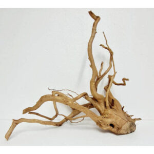 Raiz spider wood talla XL cod2 Premium