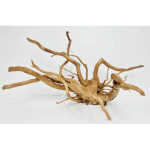 Raiz spider wood talla XL cod3 Premium