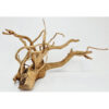 Raiz spider wood talla XL cod4 Premium