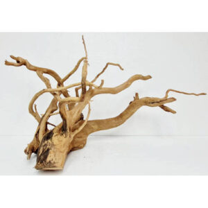 Raiz spider wood talla XL cod4 Premium