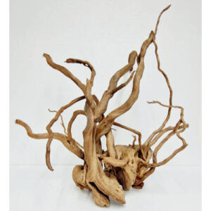 Raiz spider wood talla XL cod5 PREMIUM