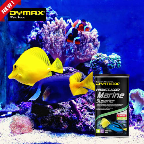 dymax_marine_superior_3