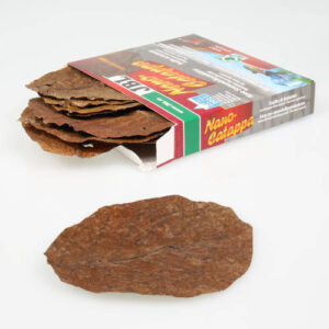 JBL Nano Catappa hojas almendro de India