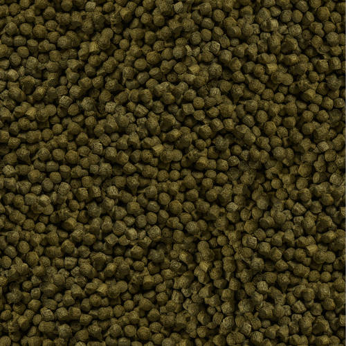 sera_koi_color_nature_medium