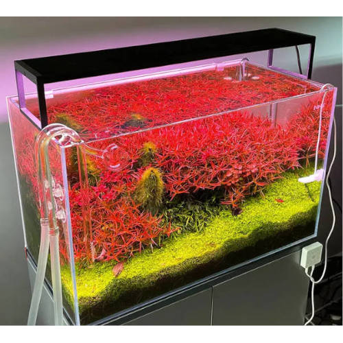 Chihiros WRGB II Slim 90 - Acuariohelp