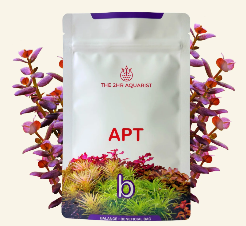 APT Balance B 25g (bacterias nitrificantes Premium)