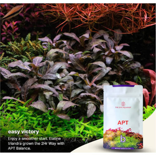 aptbalance4