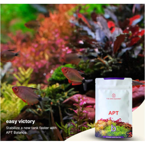 aptbalance5
