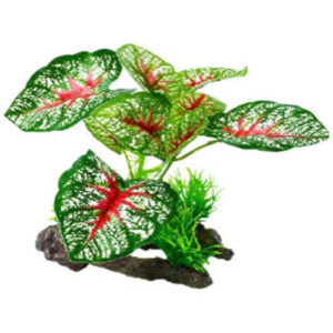 Pequeña planta con tronco 10cm