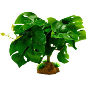 Planta con base 20cm