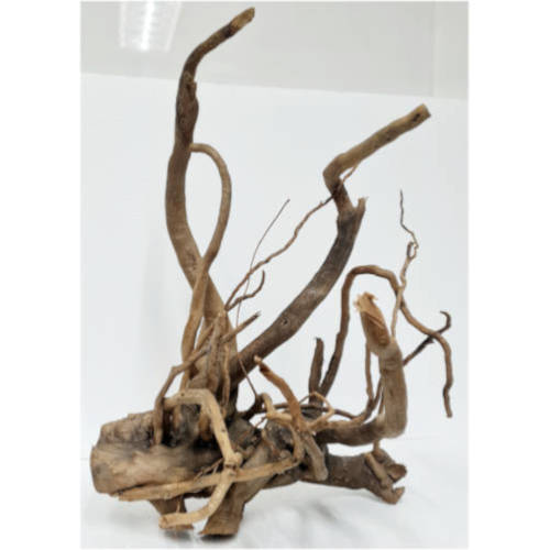 Raiz spider wood talla XL cod1 Premium